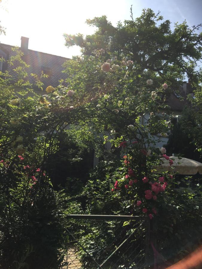 שטוטגרט Vintage-Mansarde Uber Wilden Garten מראה חיצוני תמונה